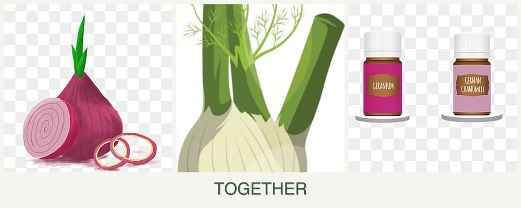 Can you plant onions, fennel and geraniums together?