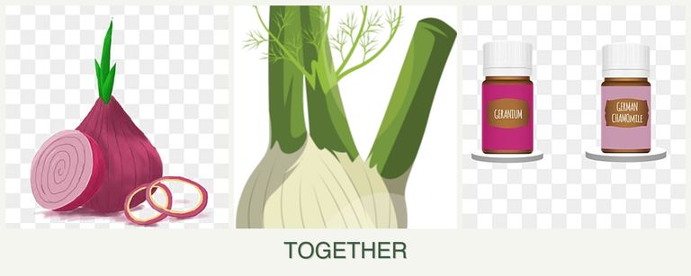 Can you plant onions, fennel and geraniums together?