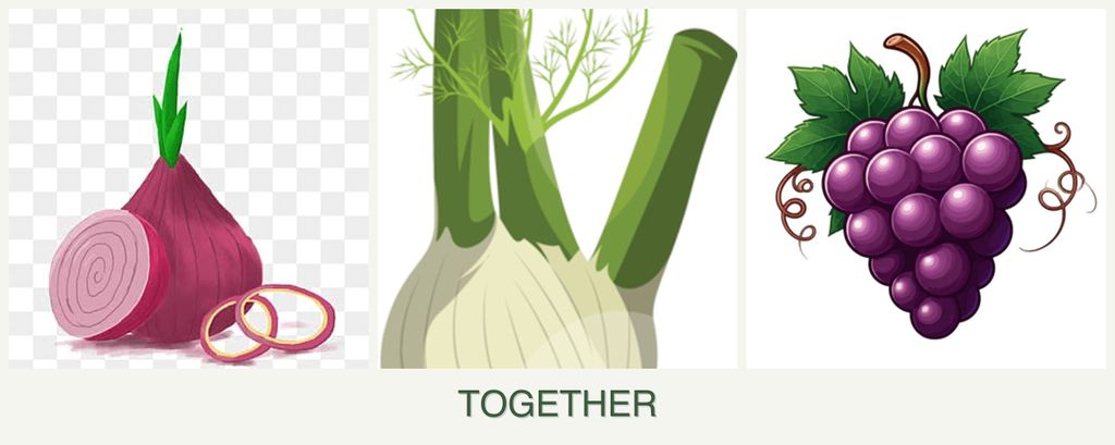 Can you plant onions, fennel and grapes together?