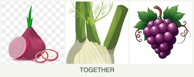 Can you plant onions, fennel and grapes together?