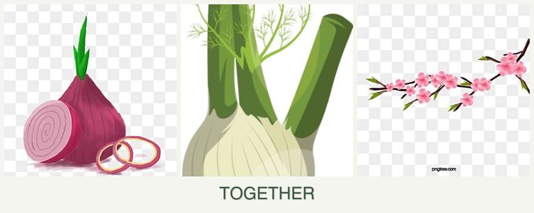 Can you plant onions, fennel and peaches together?