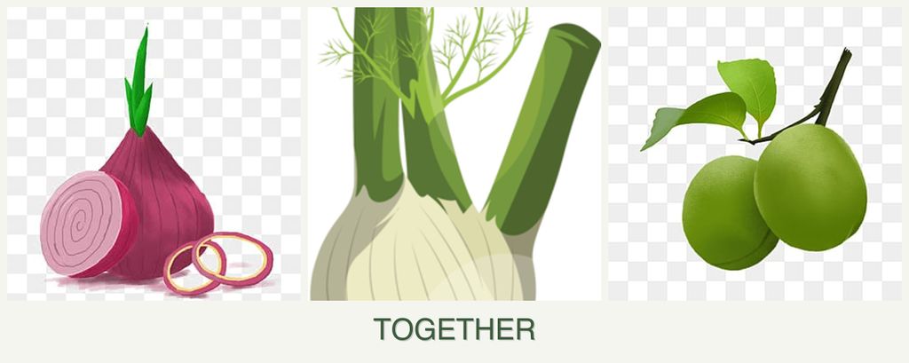 Can you plant onions, fennel and plums together?