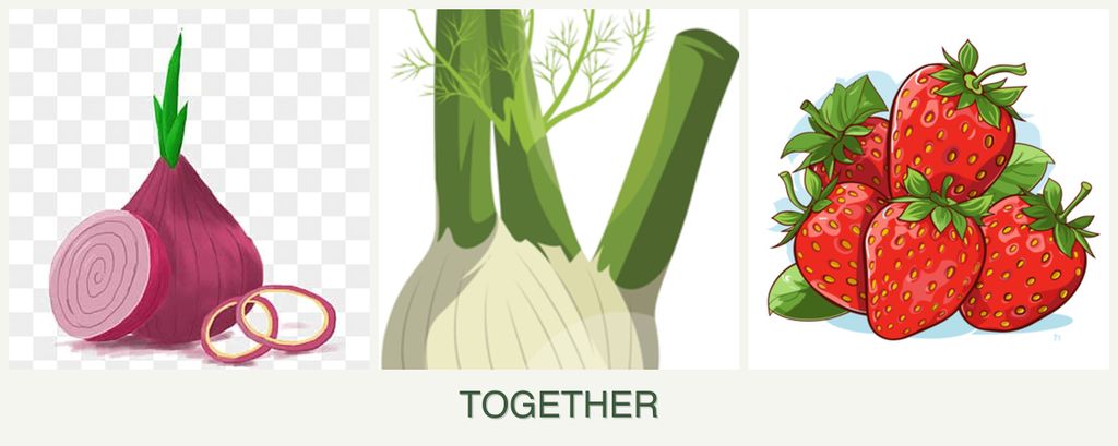 Can you plant onions, fennel and strawberries together?