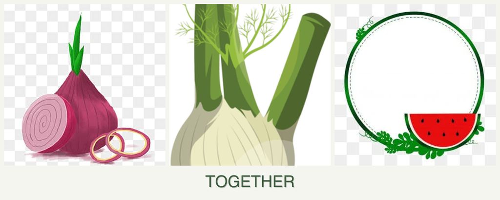 Can you plant onions, fennel and watermelons together?