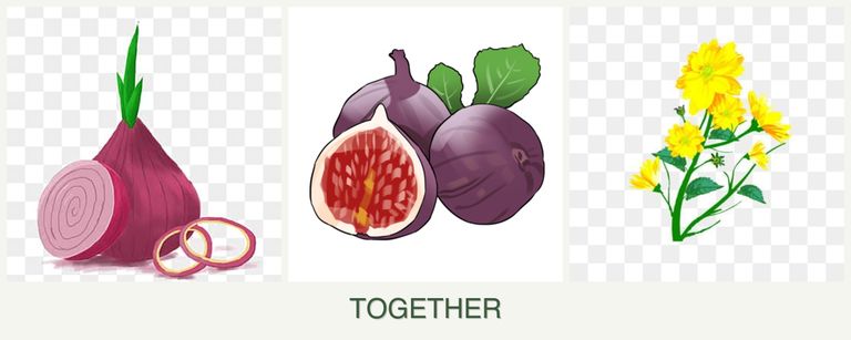 Can you plant onions, figs and calendula together?
