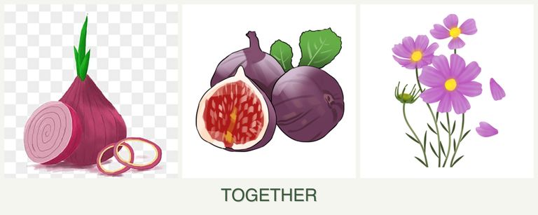 Can you plant onions, figs and cosmos together?