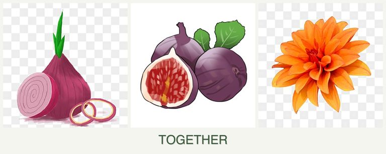 Can you plant onions, figs and dahlias together?