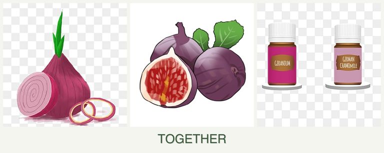 Can you plant onions, figs and geraniums together?