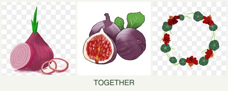 Can you plant onions, figs and nasturtiums together?