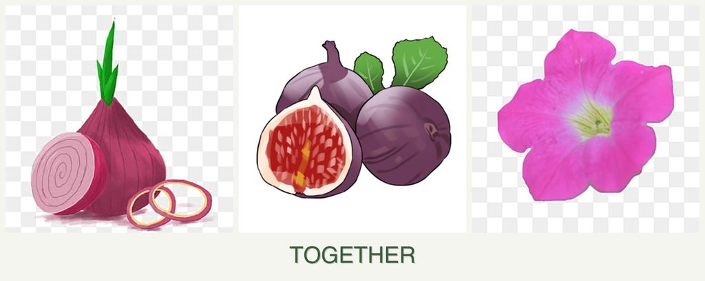 Can you plant onions, figs and petunias together?