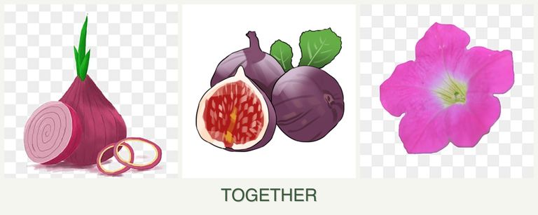 Can you plant onions, figs and petunias together?