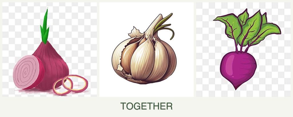 Can you plant onions, garlic and beets together?