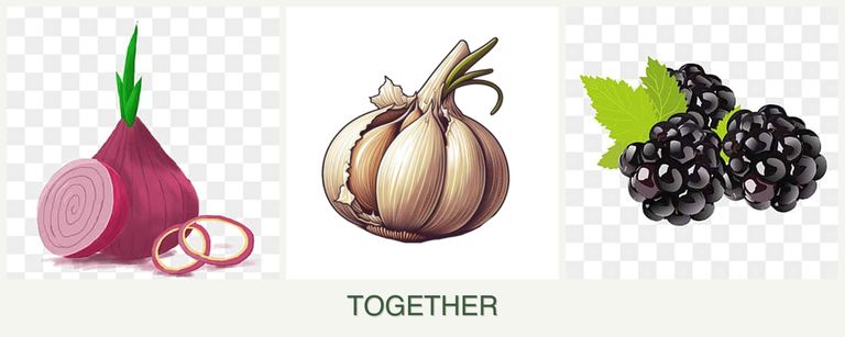 Can you plant onions, garlic and blackberries together?