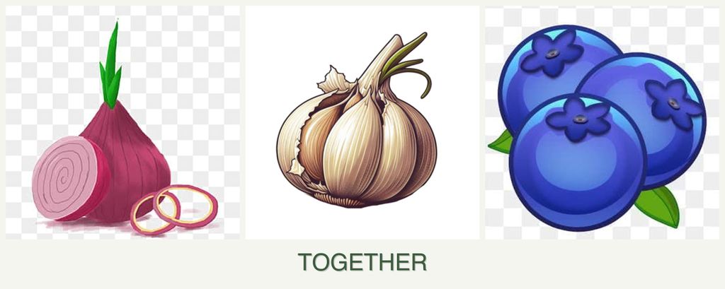 Can you plant onions, garlic and blueberries together?
