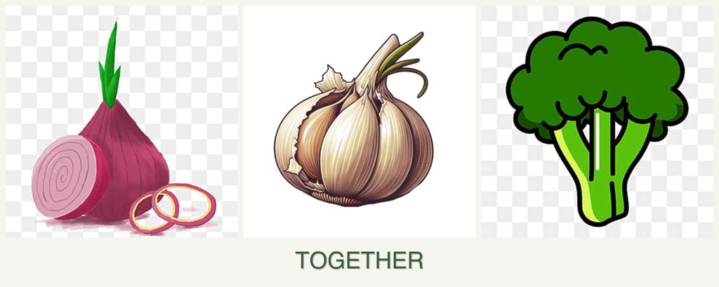 Can you plant onions, garlic and broccoli together?