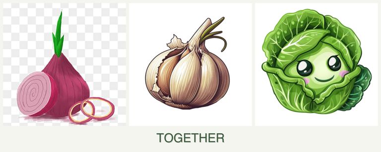 Can you plant onions, garlic and cabbage together?