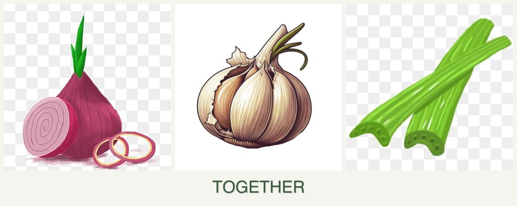 Can you plant onions, garlic and celery together?