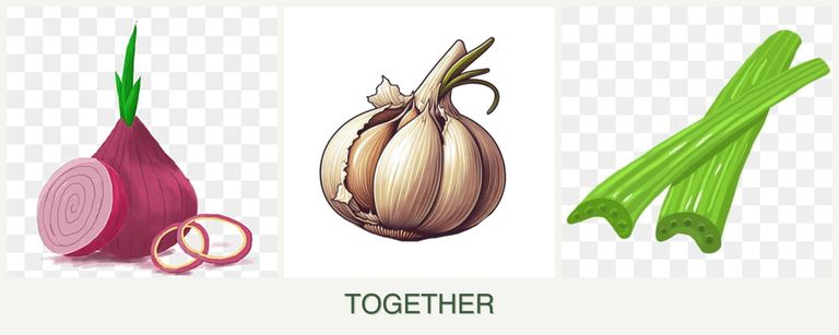 Can you plant onions, garlic and celery together?