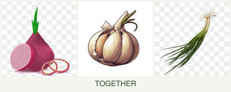 Can you plant onions, garlic and chives together?