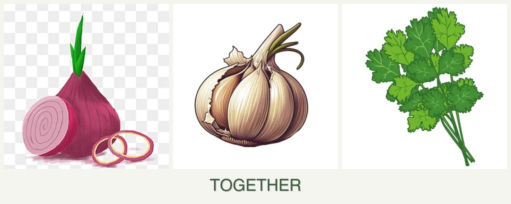 Can you plant onions, garlic and cilantro together?