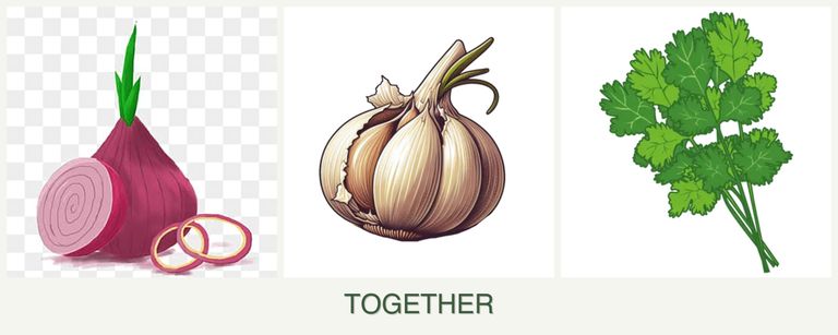 Can you plant onions, garlic and cilantro together?