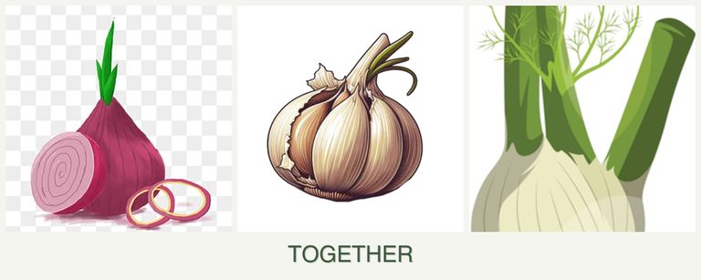 Can you plant onions, garlic and fennel together?