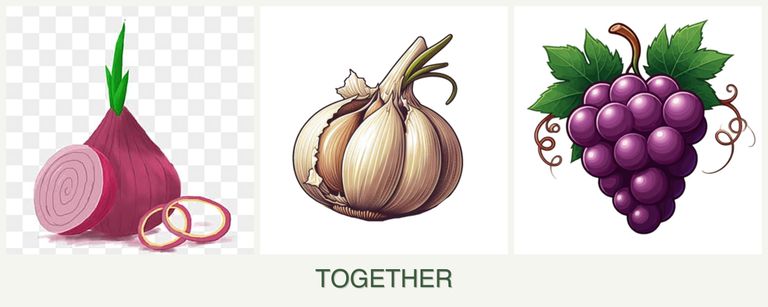 Can you plant onions, garlic and grapes together?