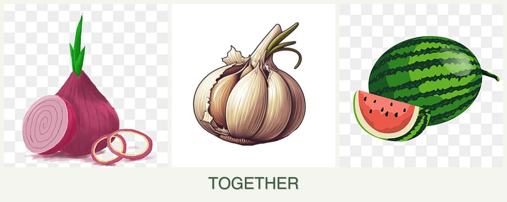 Can you plant onions, garlic and melons together?