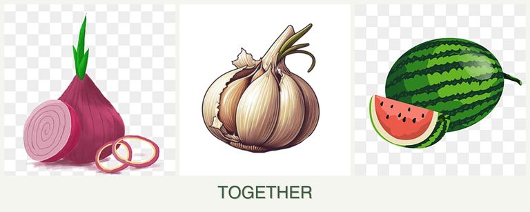 Can you plant onions, garlic and melons together?