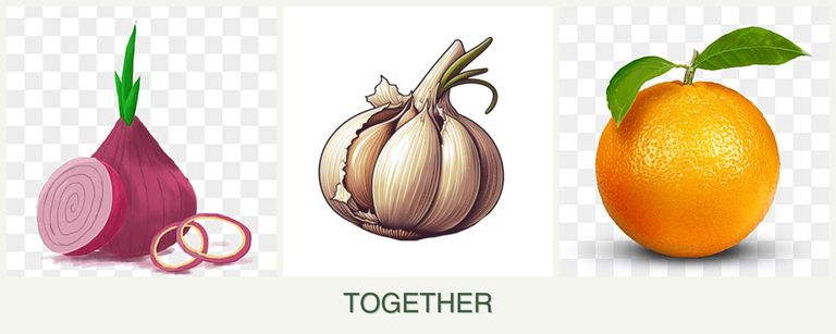 Can you plant onions, garlic and oranges together?