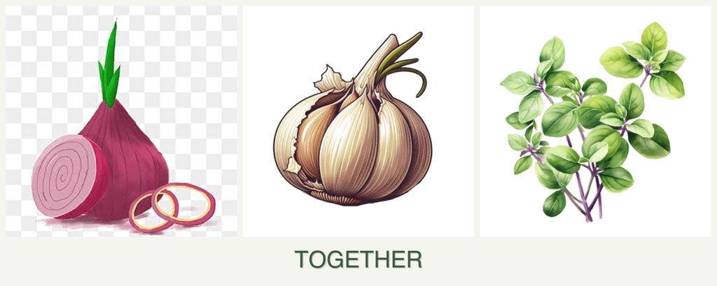 Can you plant onions, garlic and oregano together?