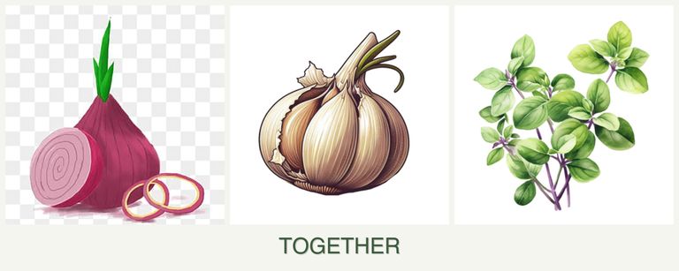 Can you plant onions, garlic and oregano together?