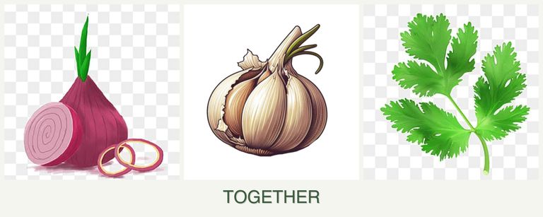 Can you plant onions, garlic and parsley together?