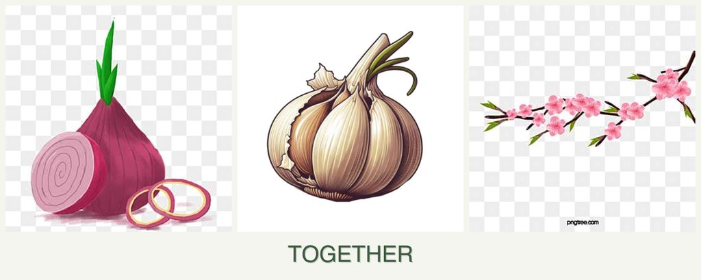 Can you plant onions, garlic and peaches together?