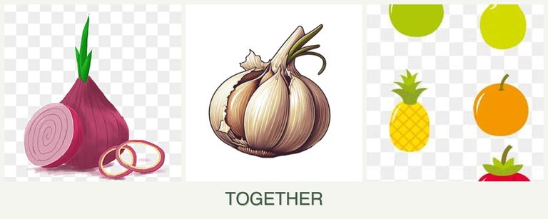 Can you plant onions, garlic and pears together?