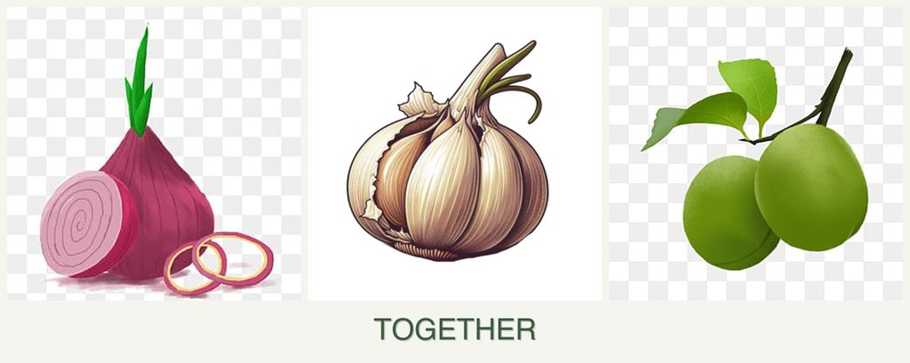 Can you plant onions, garlic and plums together?
