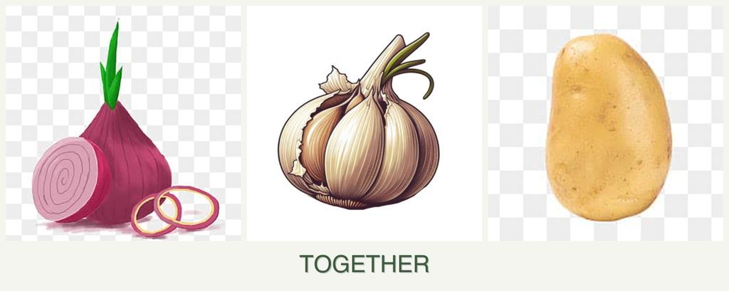 Can you plant onions, garlic and potatoes together?
