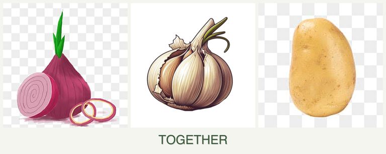 Can you plant onions, garlic and potatoes together?