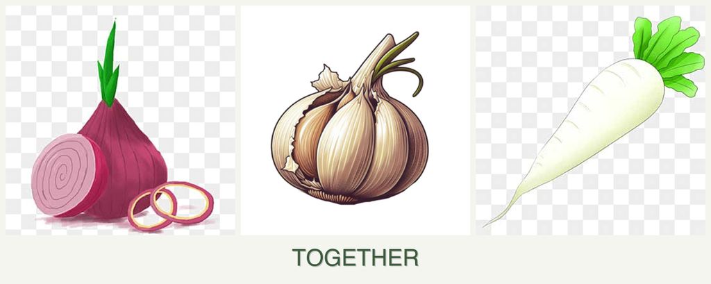 Can you plant onions, garlic and radishes together?