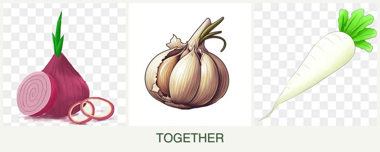 Can you plant onions, garlic and radishes together?