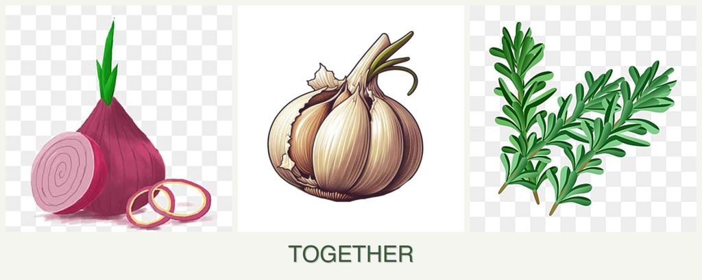 Can you plant onions, garlic and rosemary together?