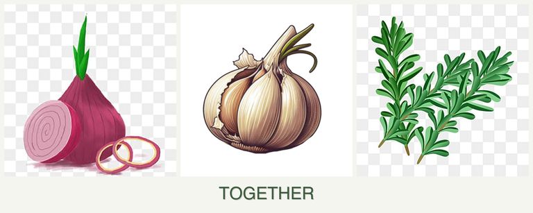 Can you plant onions, garlic and rosemary together?