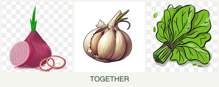 Can you plant onions, garlic and spinach together?