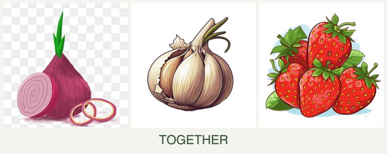 Can you plant onions, garlic and strawberries together?