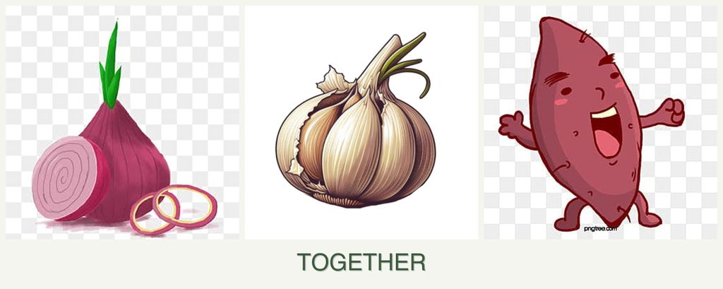 Can you plant onions, garlic and sweet potatoes together?