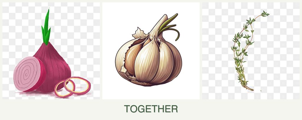 Can you plant onions, garlic and thyme together?