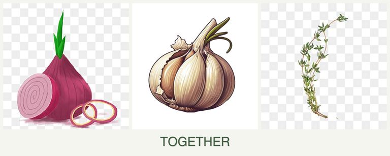 Can you plant onions, garlic and thyme together?
