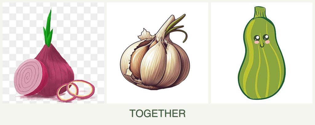 Can you plant onions, garlic and zucchini together?