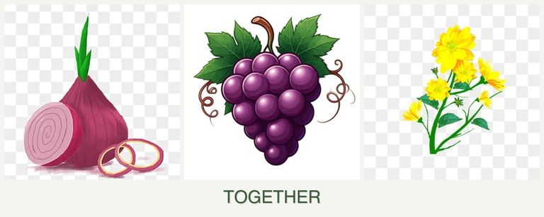 Can you plant onions, grapes and calendula together?