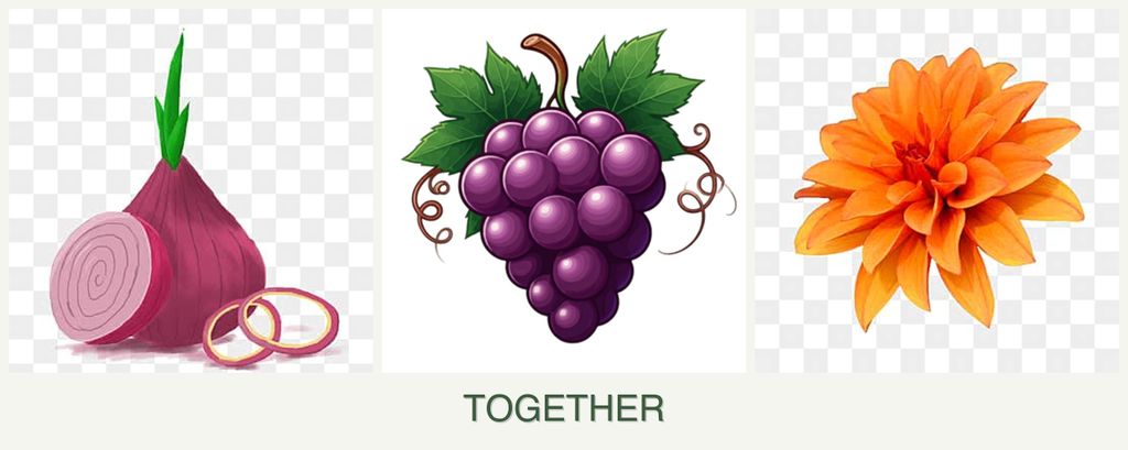 Can you plant onions, grapes and dahlias together?